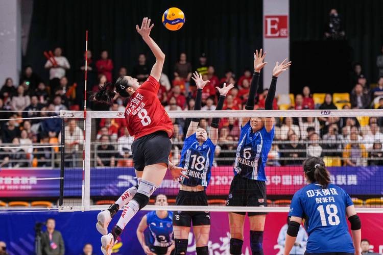 全程高清直播：世界杯女排赛精彩对决视频